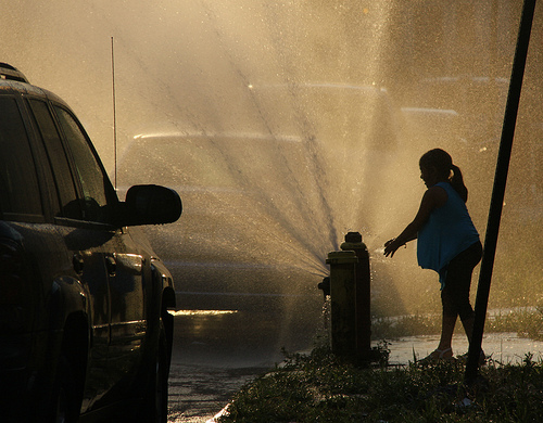 Summer in the Bronx