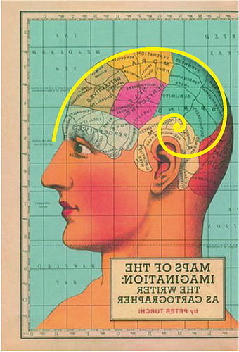 Human Brain Evolution