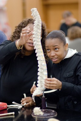 Students at Bronx Community College study a spine. (Photo by Ryan Brenzier)